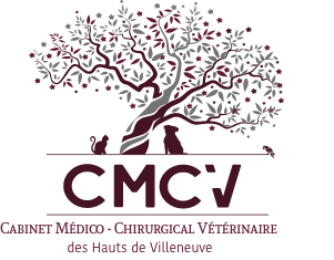 CMCV Clinique Vétérinaire des Hauts de Villeneuve-les-Avignon Logo